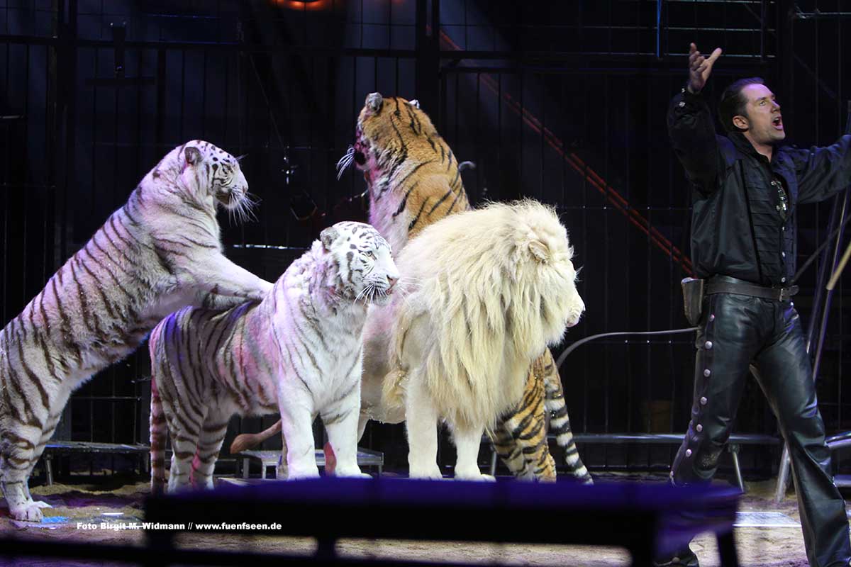 Circus Krone Martin Lacey jr. mit seinen Löwen
