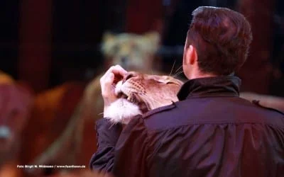 junge Chöre München mit neuer Leitung 4 Circus Krone Martin Lacey jr.