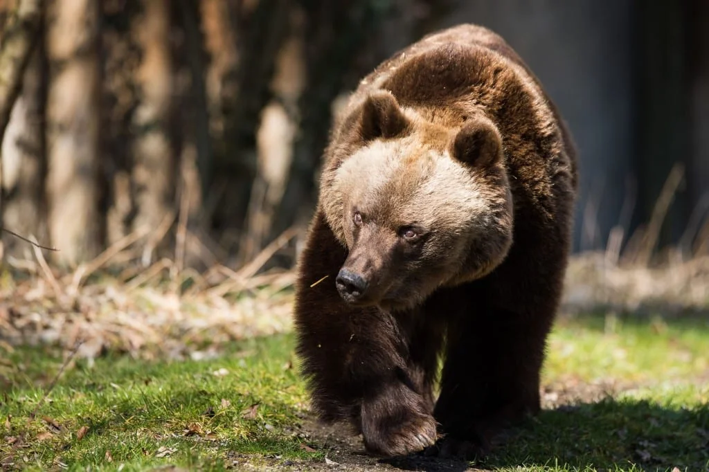 Tierpark Hellabrunn - Foto Sebastian Widmann