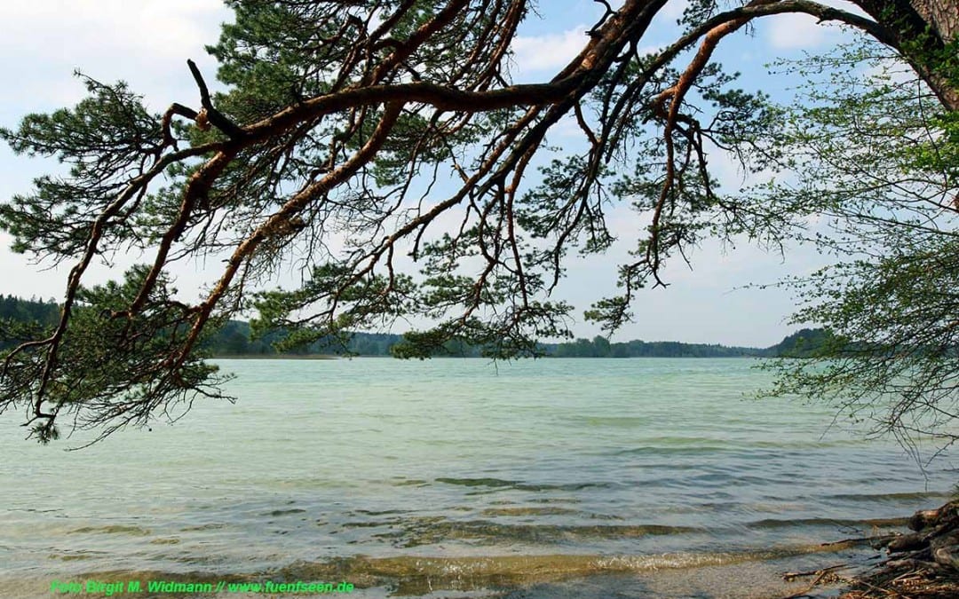 geführte Wanderung Osterseen