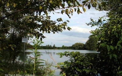 Langwieder Seenplatte