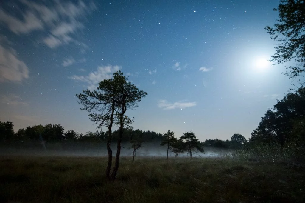 foto magie der moore jexhof