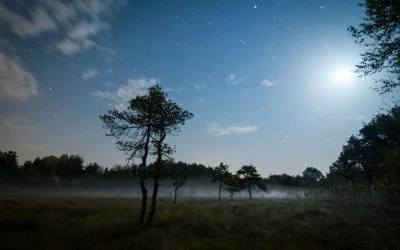 junge Chöre München mit neuer Leitung 6 Film MAGIE DER MOORE Von Jan Haft