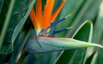 Adressenverzeichnis Tourismus bayerische Seen 20 SpiritCircles