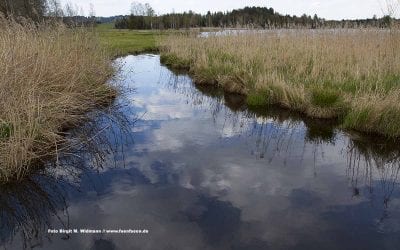Adressenverzeichnis Tourismus bayerische Seen 29 Der Soier See