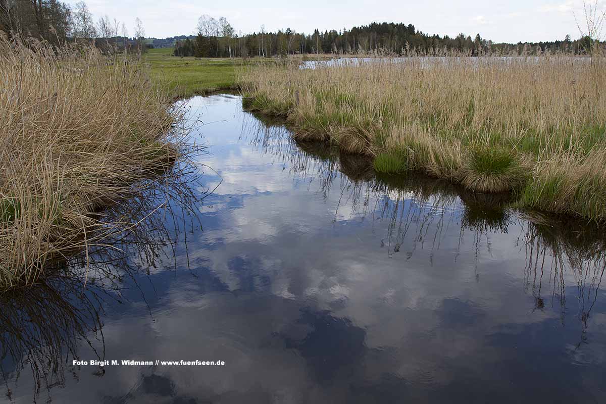 Der Soier See