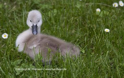 Ausflugstipp Blutenburg