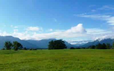 Neuigkeiten aus dem Alpenhof Murnau