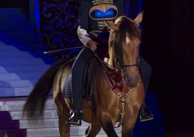 1200 B160902IMG 3288