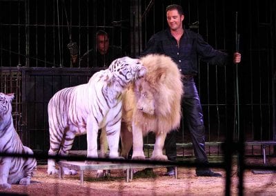 1200 B160902IMG 3534