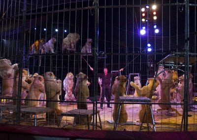 1200 B160902IMG 3597