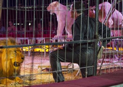 1200 B160902IMG 3631