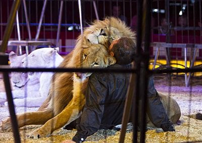 1200 B160902IMG 3635