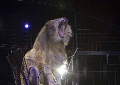 1200 B160902IMG 3643