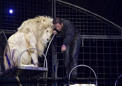 1200 B160902IMG 3648