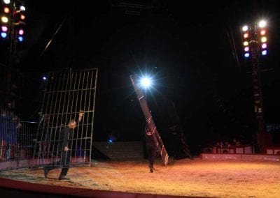 1200 B160902IMG 3691