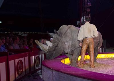 1200 B160902IMG 3709