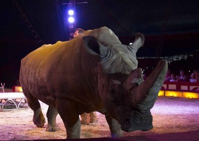 1200 B160902IMG 3720