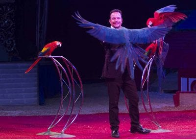 1200 B160902IMG 3760