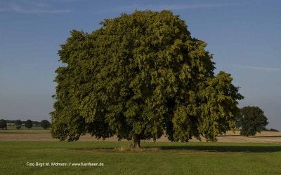 Das Umland um den Ammersee