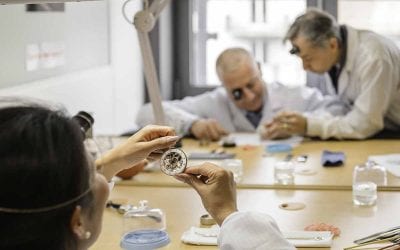 freie Kunstanstalt Diessen 2 Luxuserlebnisse in der Schweiz