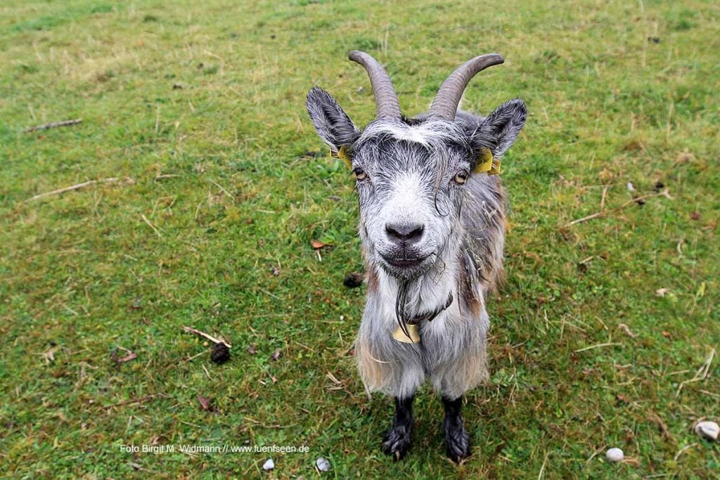 wie war ihr Wochenende