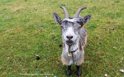junge Chöre München mit neuer Leitung 4 ..und? Wie war Ihr Wochenende?