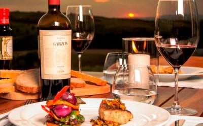 Wein trinken in Uruguay