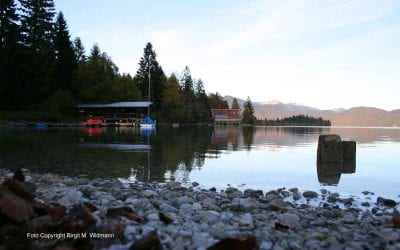 ab 02.02.2023 Kurtheater Tutzing Kinoprogramm 36 Stadt Kochel am See