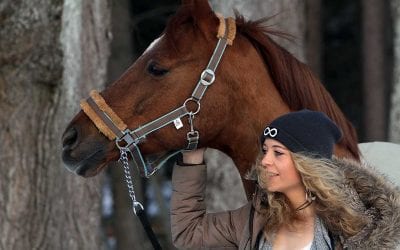 Adressenverzeichnis Tourismus bayerische Seen 1 bleibende Fotoerinnerungen
