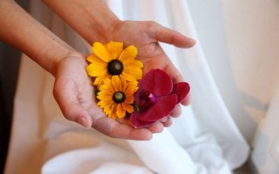 Adressenverzeichnis Tourismus bayerische Seen 5 Waiola – Lomi Lomi