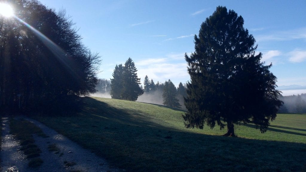 leichte Adventswanderung rund um Kerschlach und Herrsching