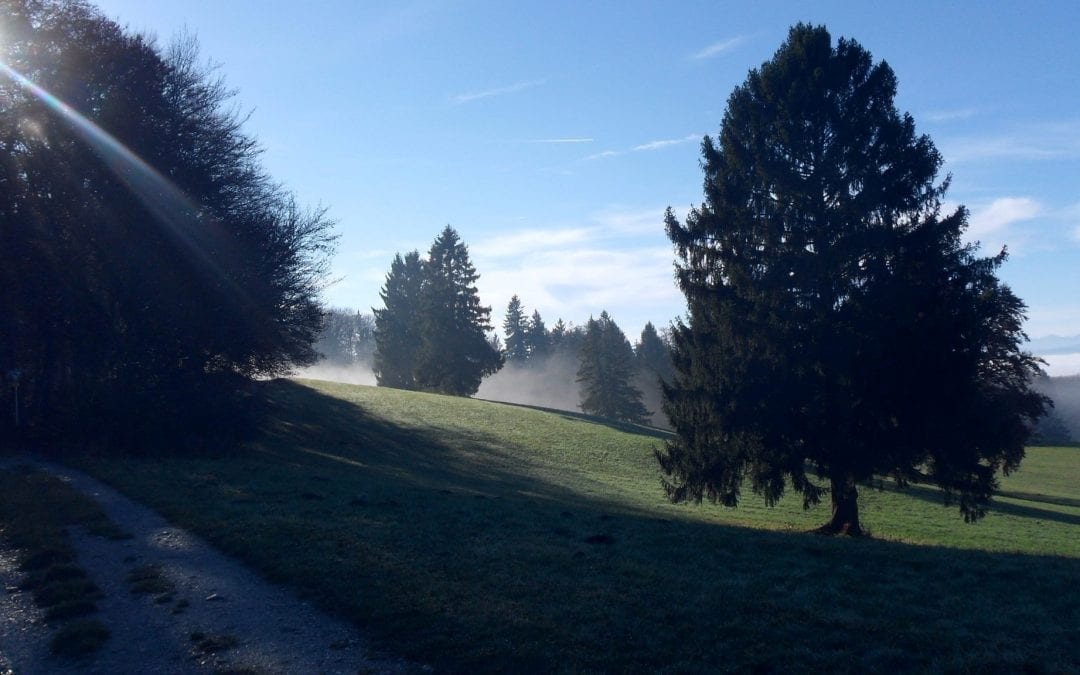 leichte Wanderung in den Advent