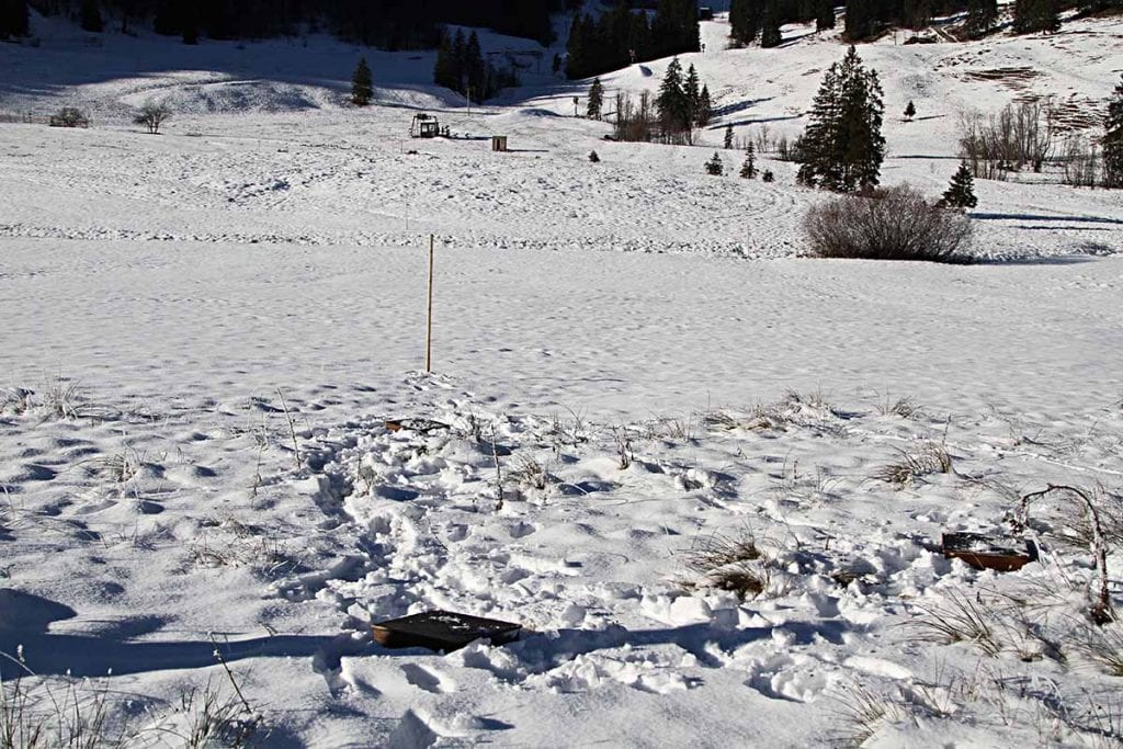 1200 B161218IMG 0068