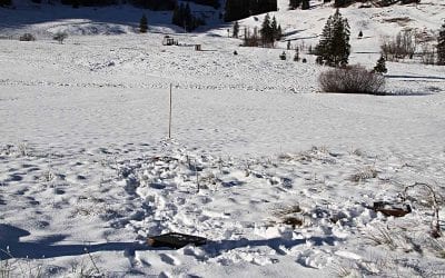 Bayern und die Landschaft