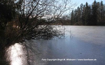 ab 02.02.2023 Kurtheater Tutzing Kinoprogramm 37 Andechser Weiher