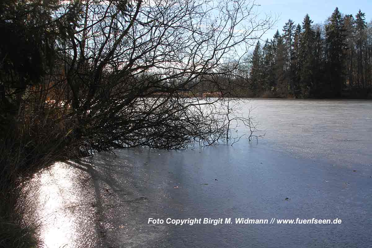 andechser weiher im Fünfseenland am Ammersee