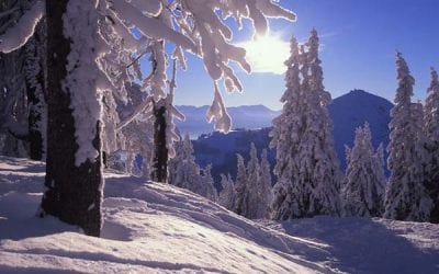 weltweite Reisetipps 3 Naturschutzgebiet Wilder Kaiser