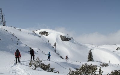 ab 02.02.2023 Kurtheater Tutzing Kinoprogramm 38 Iglubau mit Lawinenkunde und Abfahrt ins Tal