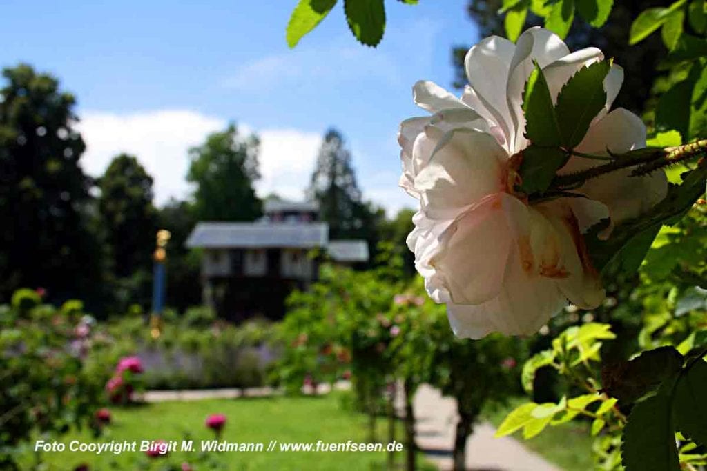Roseninsel in Feldafing am Starnberger See