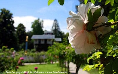 Roseninsel Feldafing