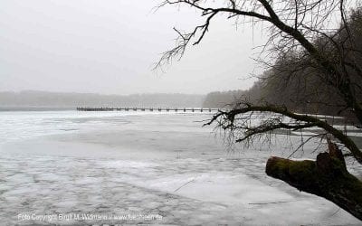 junge Chöre München mit neuer Leitung 5 02. Februar – Lichtmess Ende von Weihnachten