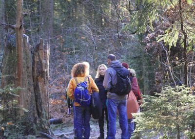 Rauhnachtwanderung Paterzeller Eibenwald