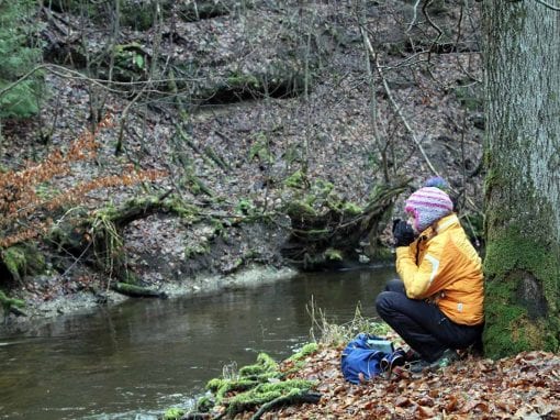 RW19 Wanderweg und Radtour über den eiszeitlichen Höhenrücken