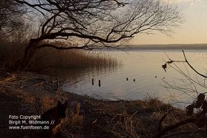 fünfseenland bayern ammersee starnberger see hotel kultur und freizeitangebote, tagungslocation und events, bayerische seen.