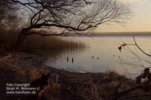 Fünfseenland Bayern Ammersee Starnberger See Hotel Kultur und Freizeitangebote, Tagungslocation und Events, bayerische Seen.