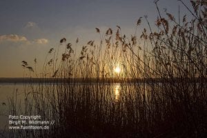 fünfseenland bayern ammersee starnberger see hotel kultur und freizeitangebote, tagungslocation und events, bayerische seen.