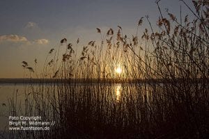 Fünfseenland Bayern Ammersee Starnberger See Hotel Kultur und Freizeitangebote, Tagungslocation und Events, bayerische Seen.