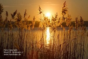 fünfseenland bayern ammersee starnberger see hotel kultur und freizeitangebote, tagungslocation und events, bayerische seen.