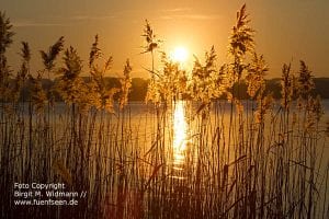 Fünfseenland Bayern Ammersee Starnberger See Hotel Kultur und Freizeitangebote, Tagungslocation und Events, bayerische Seen.